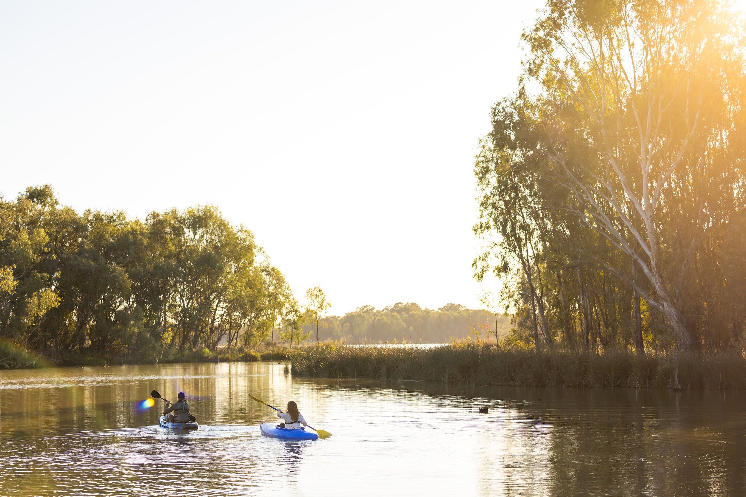 People kayaking in Mildura. Photo credit: mildura.com