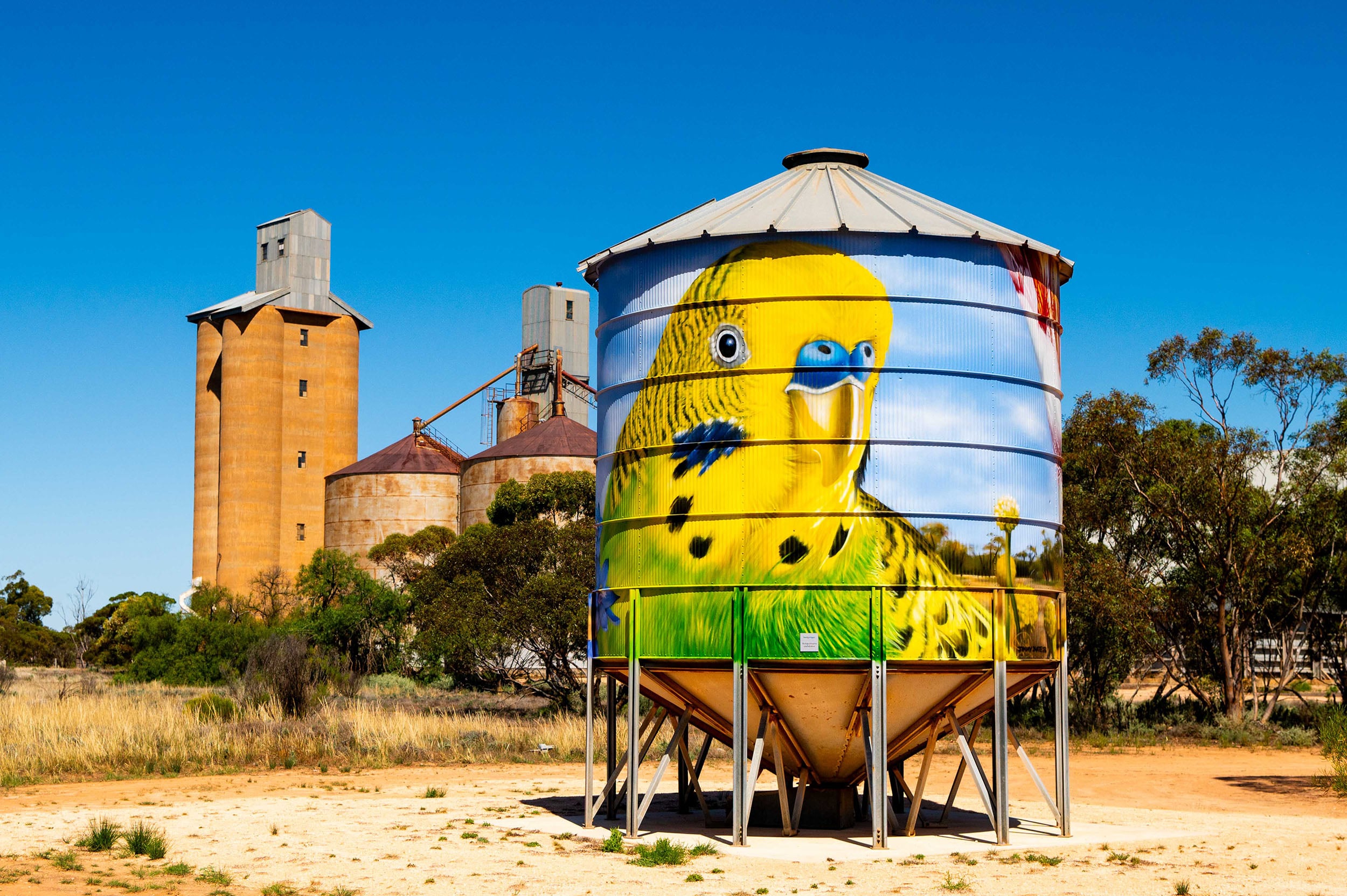Old silo painted with colourful bird. Photo credit: mildura.com