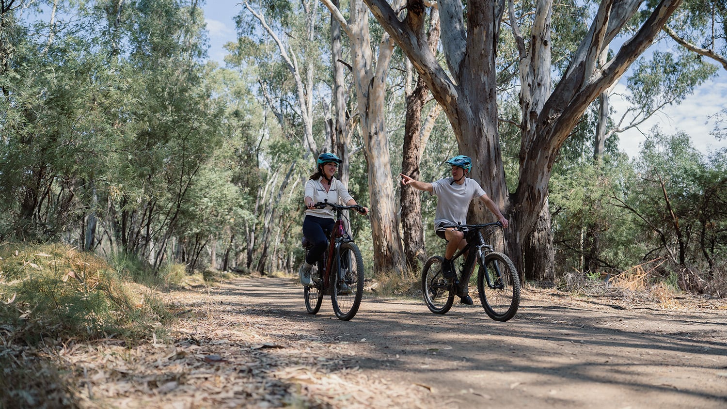 Two people ride bicycles through a forest with tall trees in the Loddon-Mallee Region.