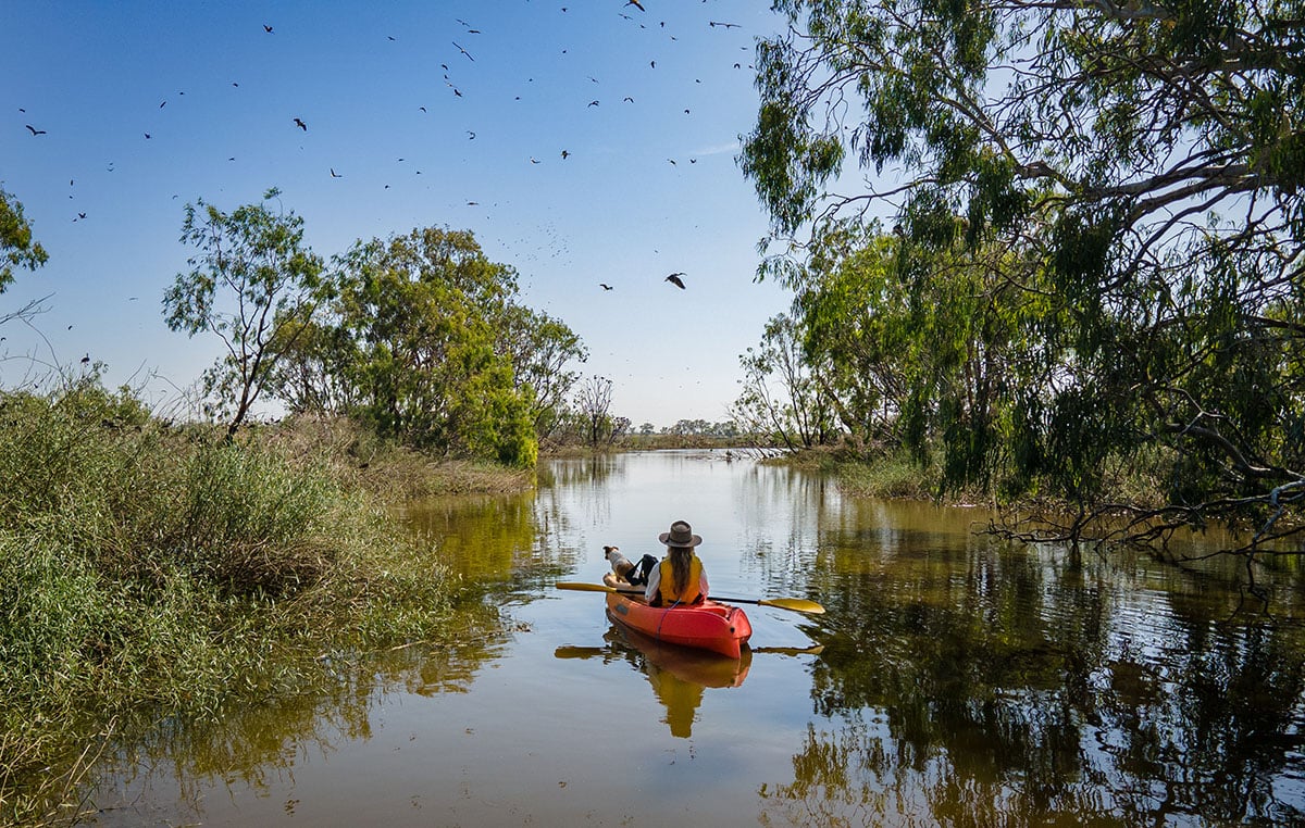 A person paddles a red kayak with a dog along a calm, tree-lined river in the Loddon-Mallee Region