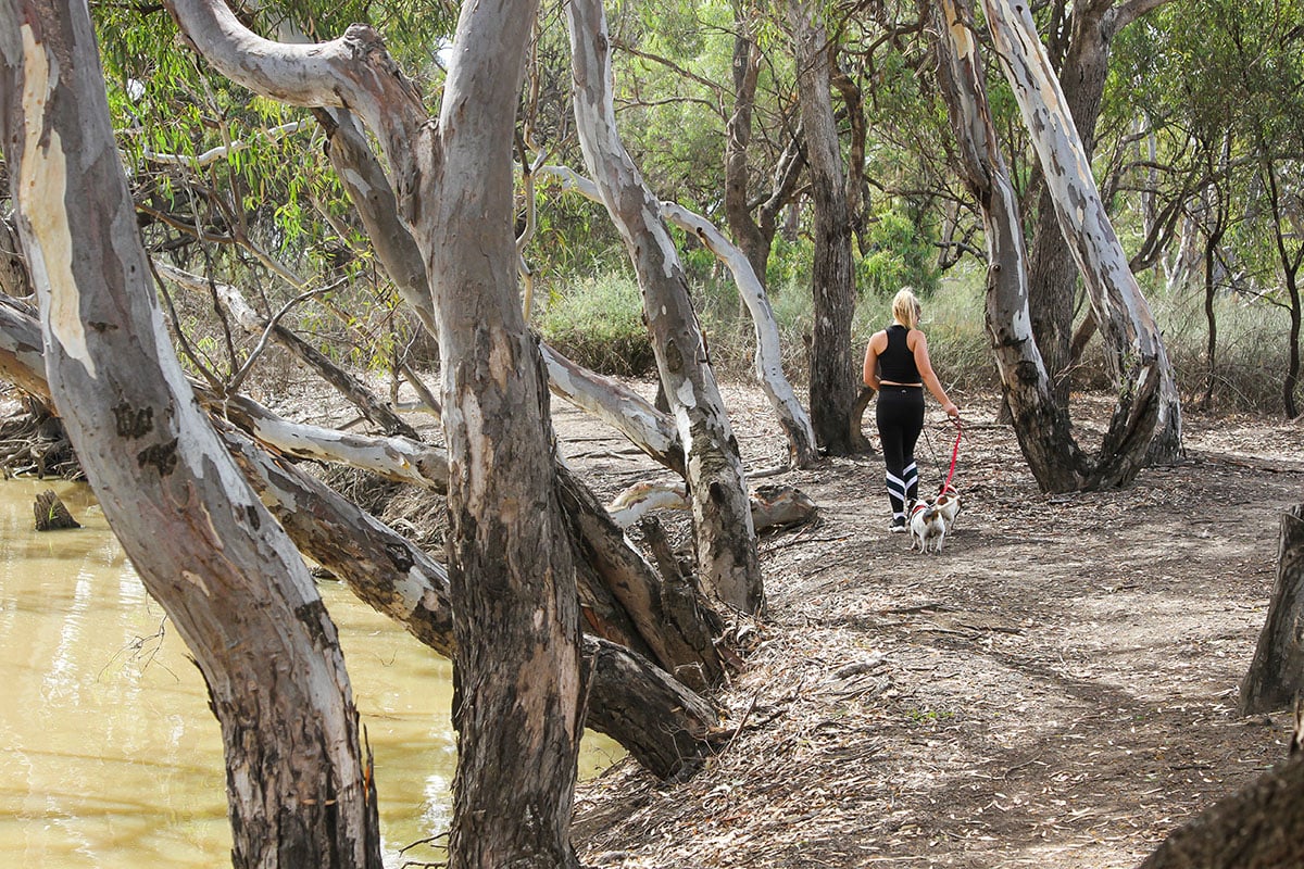 A woman in black sportswear walks a small dog on a lead along a dirt path beside a river